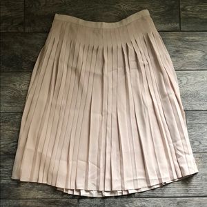 Ann Taylor Pleated Skirt